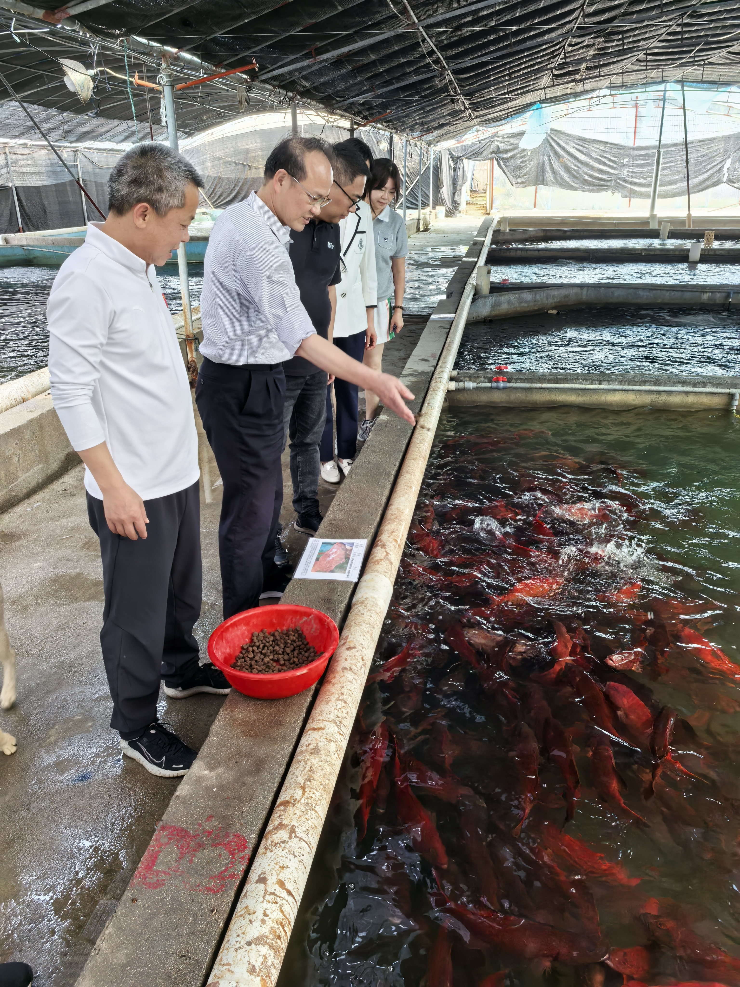 IMG_20260410_144416.jpg IMG_20260410_144416.jpg