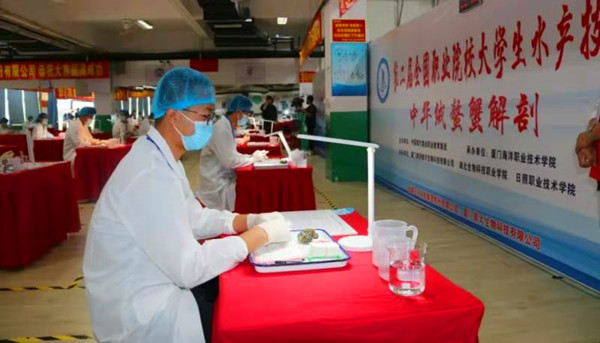 1606651166.jpg 555.jpg