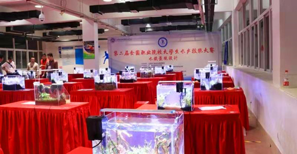 1606651153.jpg 333.jpg