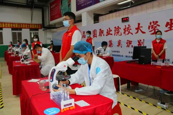 1606651145.jpg 222.jpg