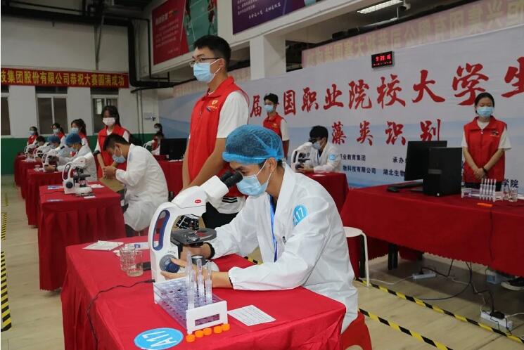 QQ截图20201130193835 QQ截图20201130193835