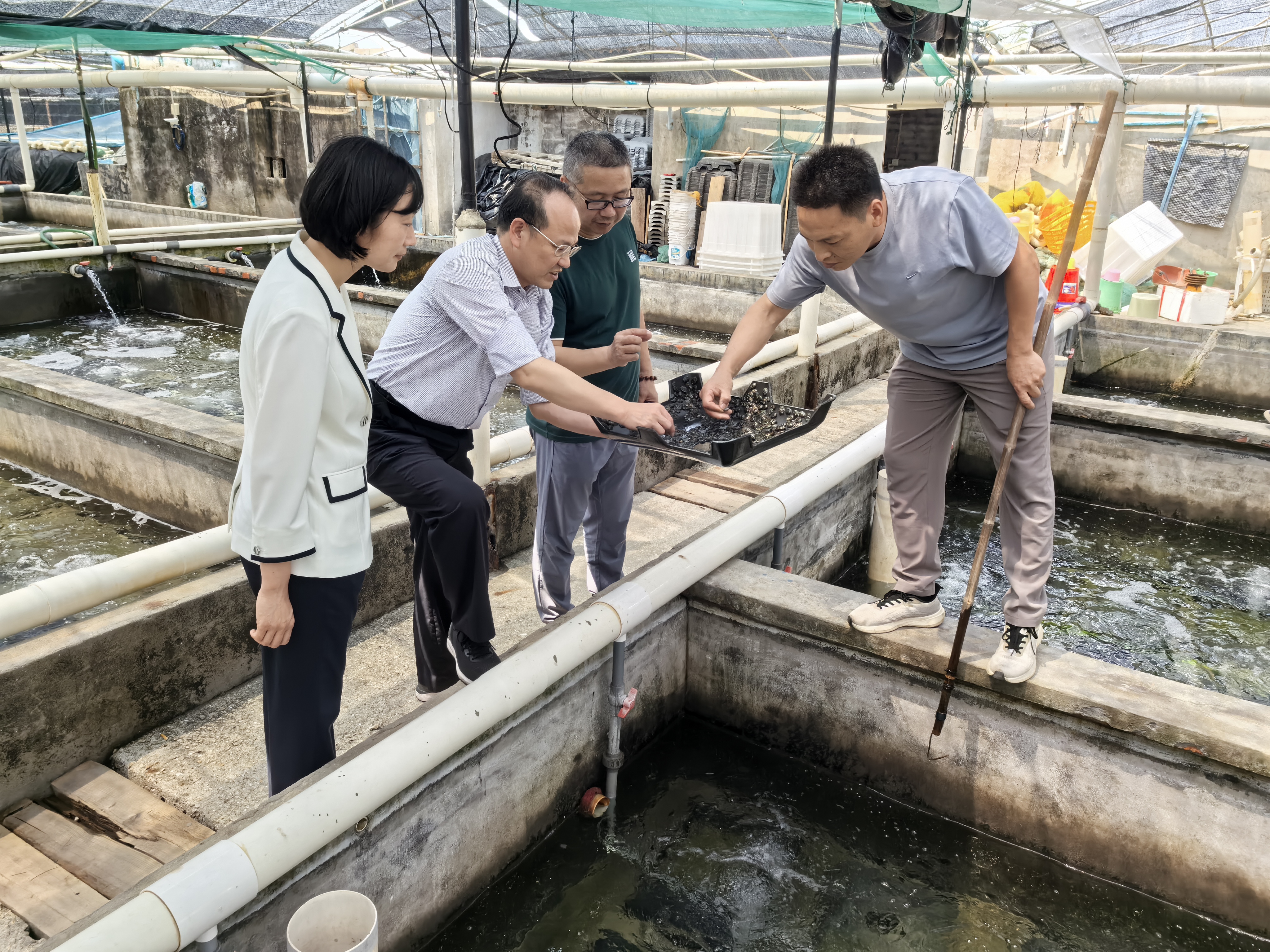 IMG_20260410_133824.jpg IMG_20260410_133824.jpg